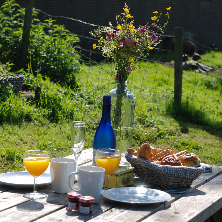 Een gedekte tafel met bloemen en ontbijt in de groene tuin bij Strandvliet